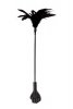 Pejcz GP feather crop black